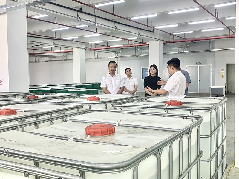 政企连心·共促发展|东莞市东城区政府领导莅临bb贝博Ballbet新材参观指导